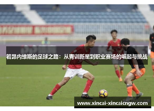 若昂内维斯的足球之路：从青训新星到职业赛场的崛起与挑战